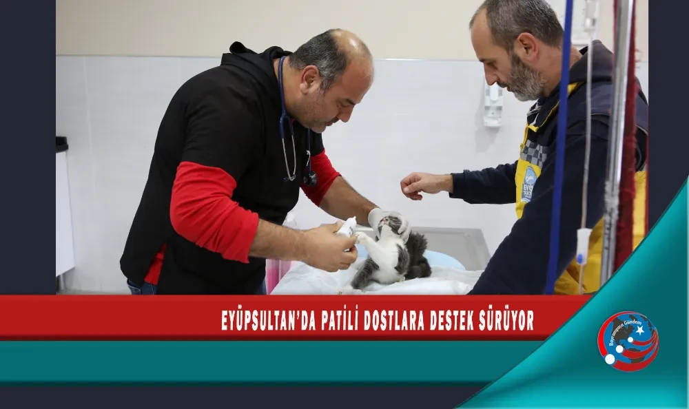 EYÜPSULTAN’DA PATİLİ DOSTLARA DESTEK SÜRÜYOR