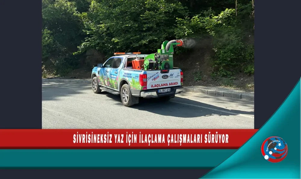 SİVRİSİNEKSİZ YAZ İÇİN İLAÇLAMA ÇALIŞMALARI SÜRÜYOR