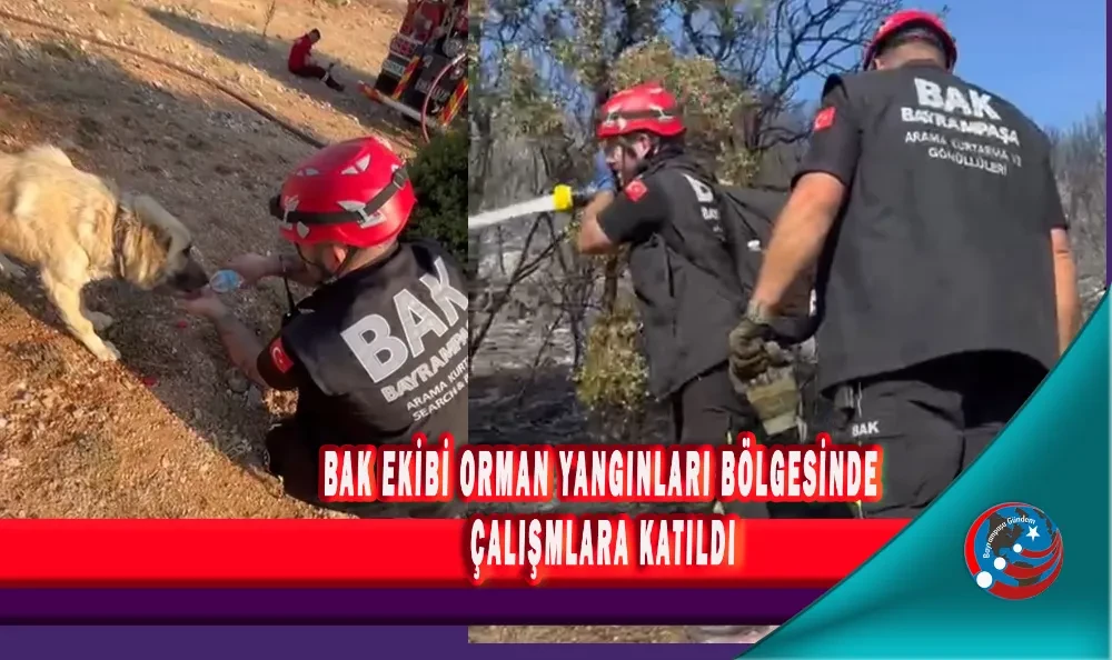 BAK EKİBİ ORMAN YANGINLARI BÖLGESİNDE ÇALIŞMLARA KATILDI