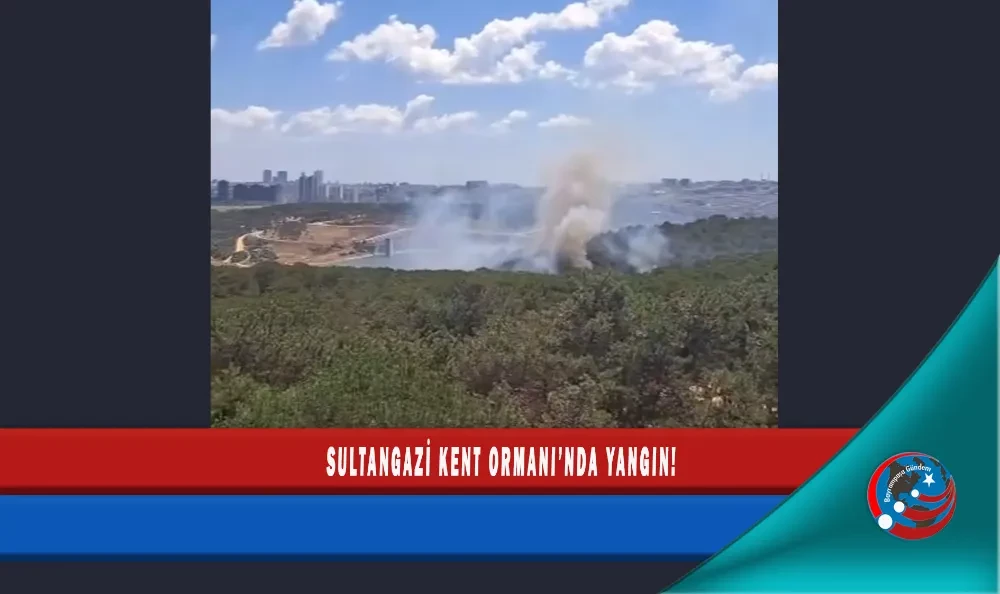 SULTANGAZİ KENT ORMANI’NDA YANGIN!